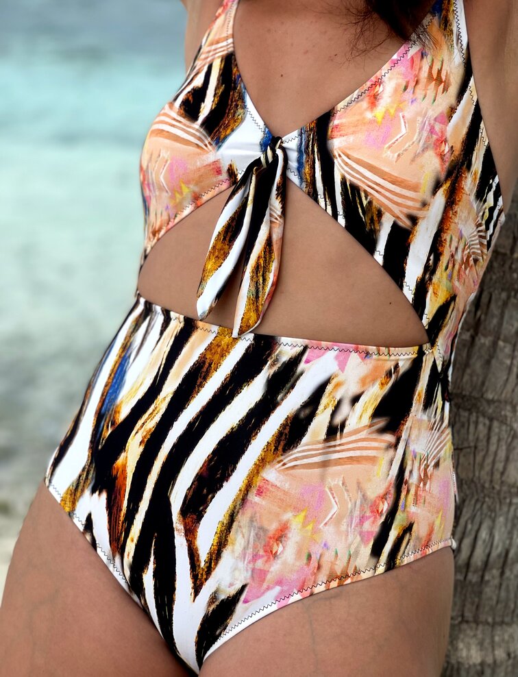 Papion Zebra
